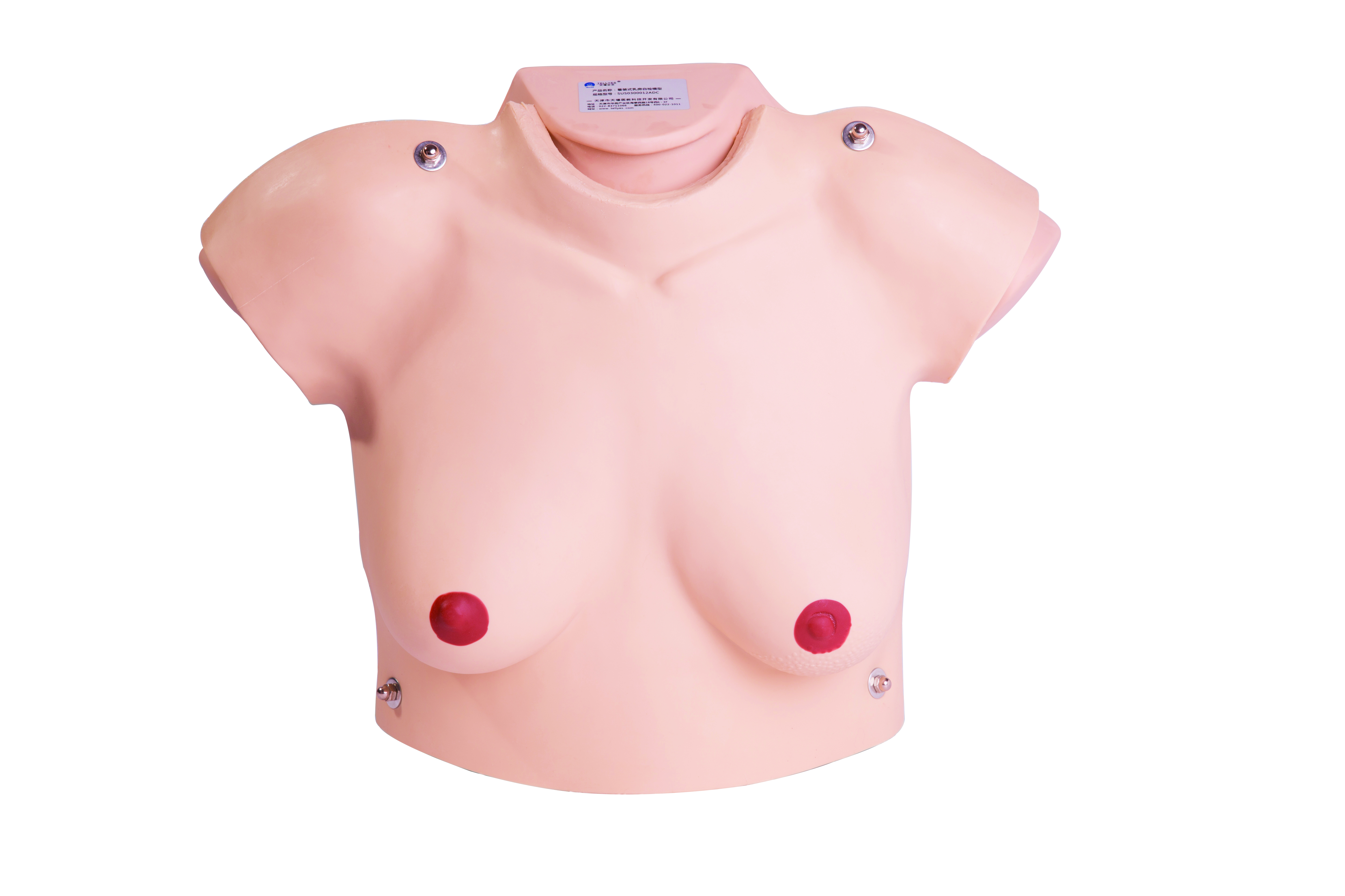 乳房自檢平臺(tái) 2.0