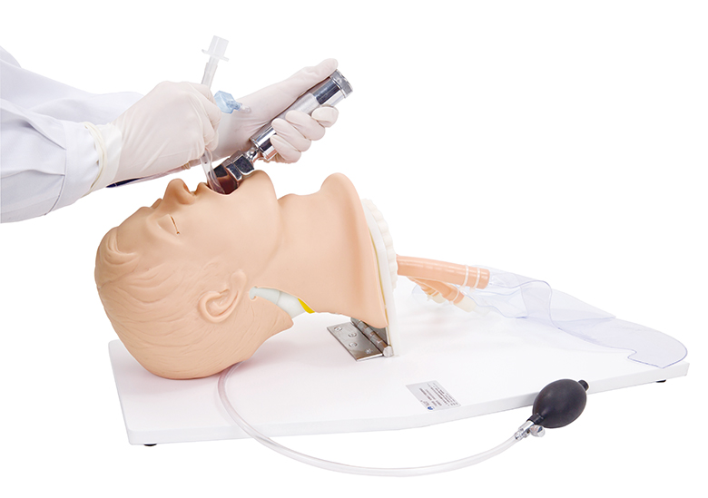 經(jīng)典成人氣管插管模型